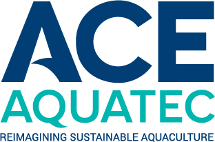 Online Logo