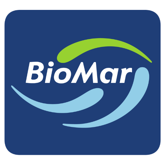 Online Logo