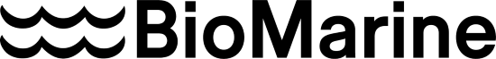 Online Logo