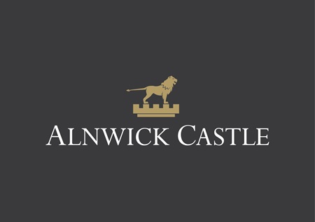 Online Logo