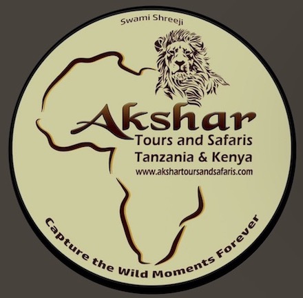Online Logo
